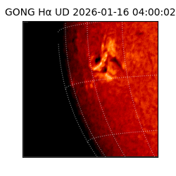 gong - 2026-01-16T04:00:02