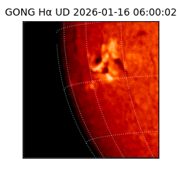 gong - 2026-01-16T06:00:02