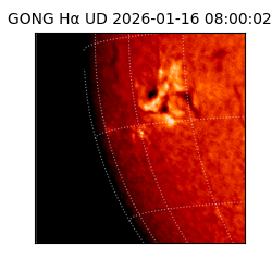 gong - 2026-01-16T08:00:02