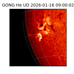 gong - 2026-01-16T09:00:02
