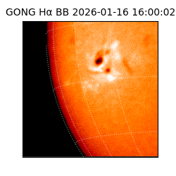 gong - 2026-01-16T16:00:02