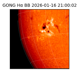 gong - 2026-01-16T21:00:02