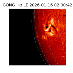 gong - 2026-01-16T02:00:42
