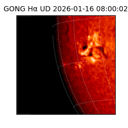 gong - 2026-01-16T08:00:02