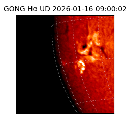 gong - 2026-01-16T09:00:02