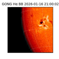 gong - 2026-01-16T21:00:02