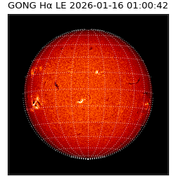 gong - 2026-01-16T01:00:42