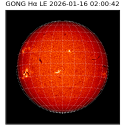 gong - 2026-01-16T02:00:42