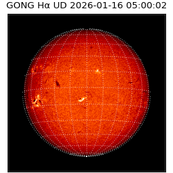 gong - 2026-01-16T05:00:02