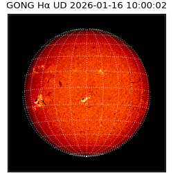 gong - 2026-01-16T10:00:02