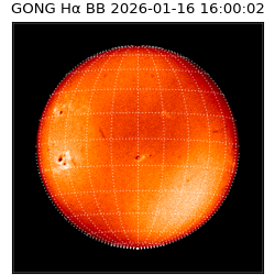 gong - 2026-01-16T16:00:02