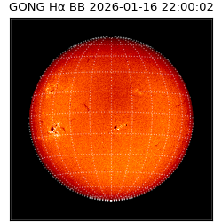 gong - 2026-01-16T22:00:02