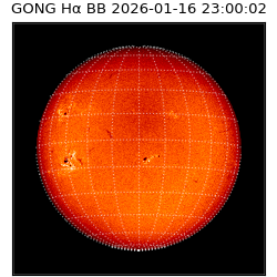 gong - 2026-01-16T23:00:02
