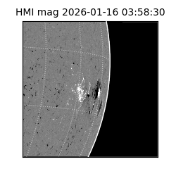 shmi - 2026-01-16T03:58:30