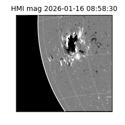 shmi - 2026-01-16T08:58:30