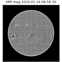 shmi - 2026-01-16T08:58:30