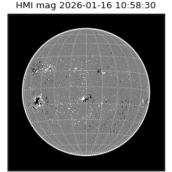 shmi - 2026-01-16T10:58:30