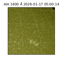 saia - 2026-01-17T05:00:14.125000