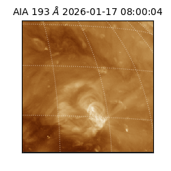 saia - 2026-01-17T08:00:04.843000