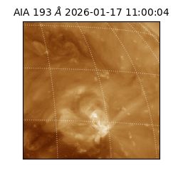 saia - 2026-01-17T11:00:04.835000