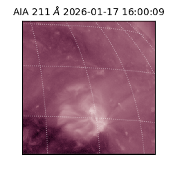 saia - 2026-01-17T16:00:09.632000