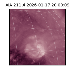 saia - 2026-01-17T20:00:09.631000