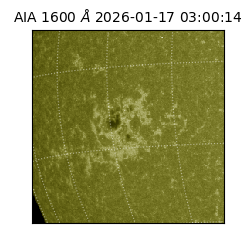 saia - 2026-01-17T03:00:14.126000