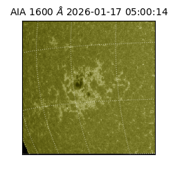 saia - 2026-01-17T05:00:14.125000