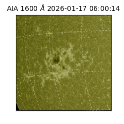 saia - 2026-01-17T06:00:14.116000