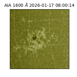 saia - 2026-01-17T08:00:14.132000