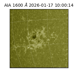 saia - 2026-01-17T10:00:14.123000