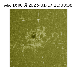 saia - 2026-01-17T21:00:38.126000