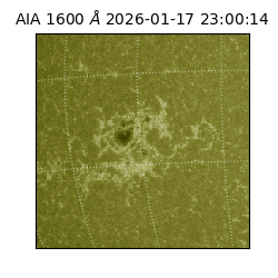 saia - 2026-01-17T23:00:14.131000