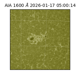 saia - 2026-01-17T05:00:14.125000