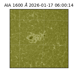 saia - 2026-01-17T06:00:14.116000