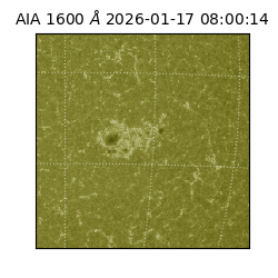 saia - 2026-01-17T08:00:14.132000