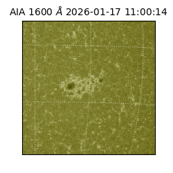 saia - 2026-01-17T11:00:14.124000