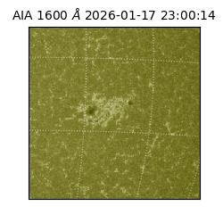 saia - 2026-01-17T23:00:14.131000