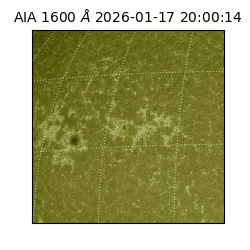 saia - 2026-01-17T20:00:14.126000