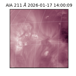 saia - 2026-01-17T14:00:09.622000