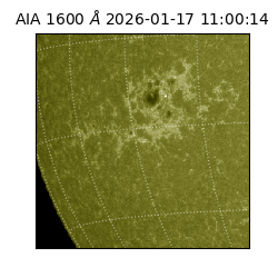 saia - 2026-01-17T11:00:14.124000