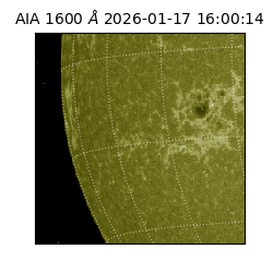 saia - 2026-01-17T16:00:14.125000