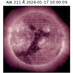 saia - 2026-01-17T10:00:09.625000