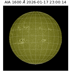 saia - 2026-01-17T23:00:14.131000