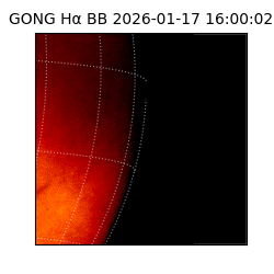 gong - 2026-01-17T16:00:02