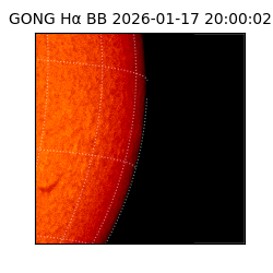 gong - 2026-01-17T20:00:02