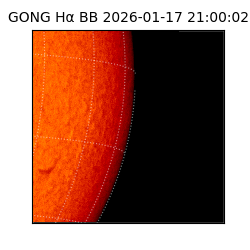 gong - 2026-01-17T21:00:02