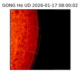 gong - 2026-01-17T08:00:02