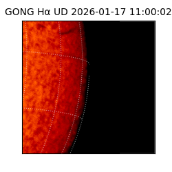 gong - 2026-01-17T11:00:02