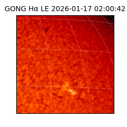 gong - 2026-01-17T02:00:42